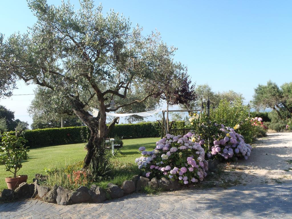 Il Poggio Degli Ulivi Apartment Trevignano Romano Ruang foto