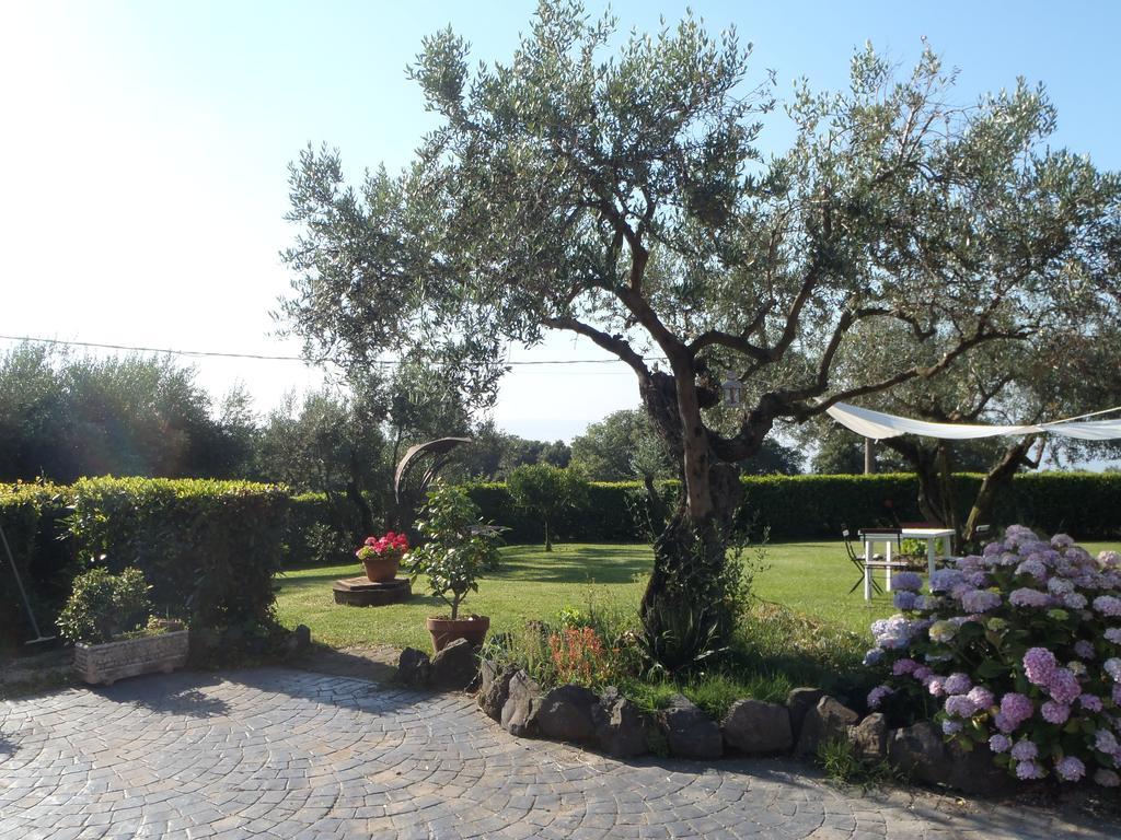 Il Poggio Degli Ulivi Apartment Trevignano Romano Ruang foto