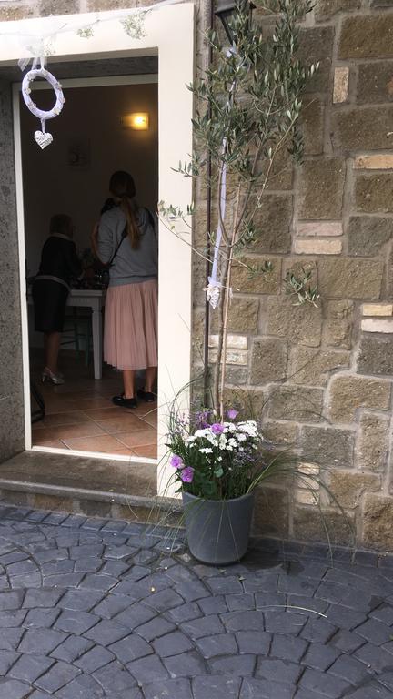 Il Poggio Degli Ulivi Apartment Trevignano Romano Bagian luar foto
