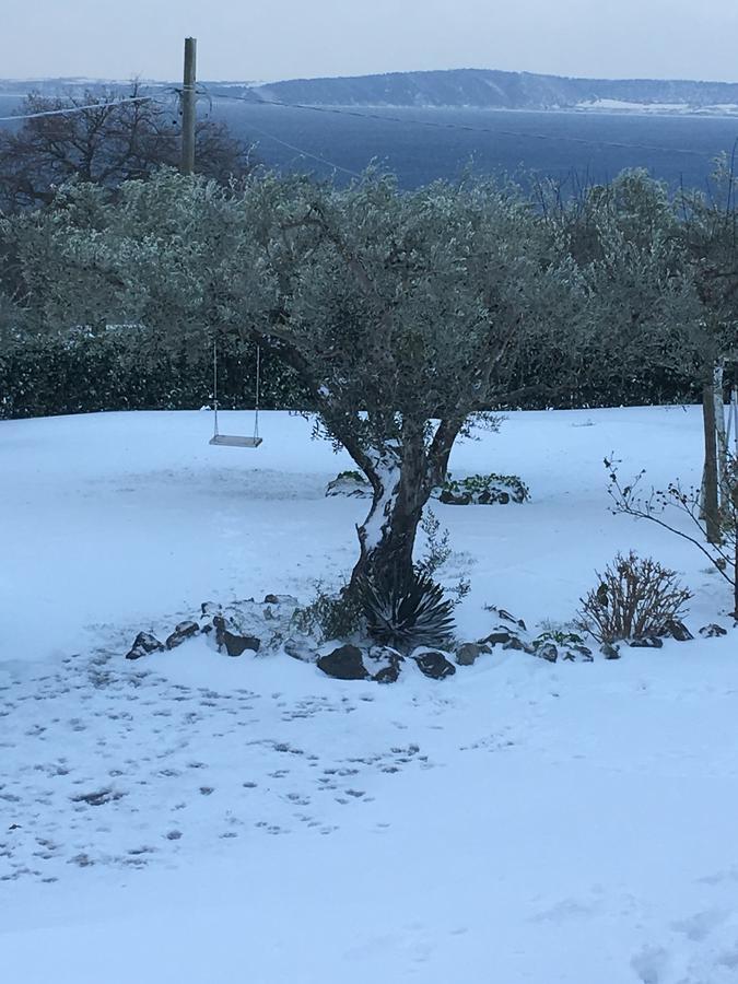Il Poggio Degli Ulivi Apartment Trevignano Romano Bagian luar foto