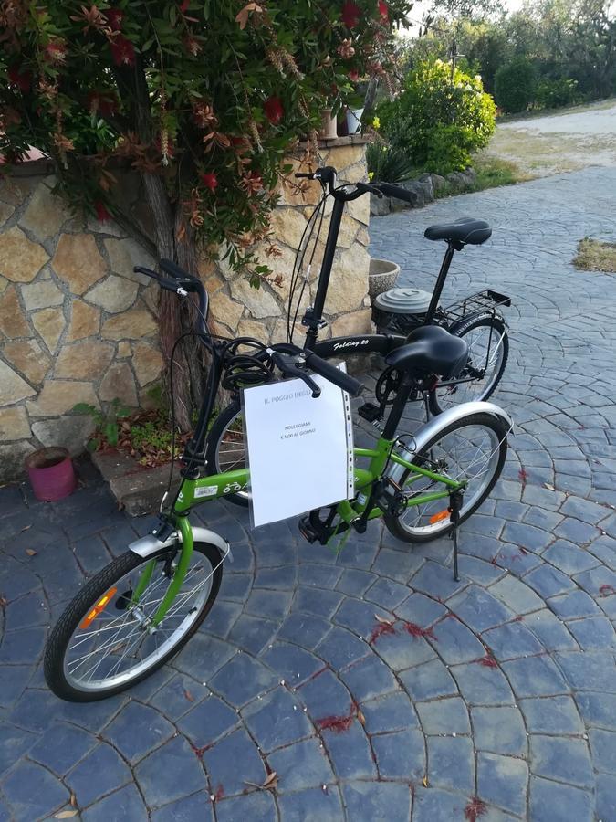 Il Poggio Degli Ulivi Apartment Trevignano Romano Bagian luar foto