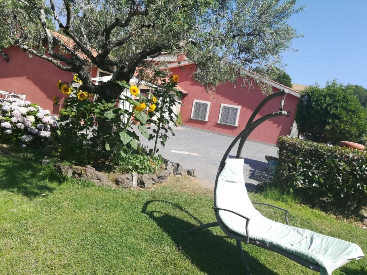 Il Poggio Degli Ulivi Apartment Trevignano Romano Bagian luar foto