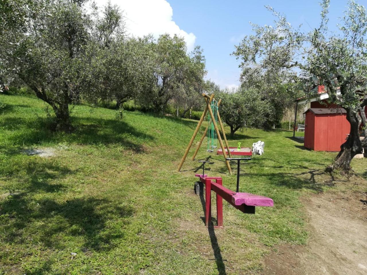 Il Poggio Degli Ulivi Apartment Trevignano Romano Bagian luar foto