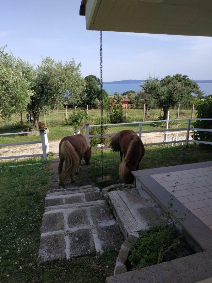 Il Poggio Degli Ulivi Apartment Trevignano Romano Bagian luar foto